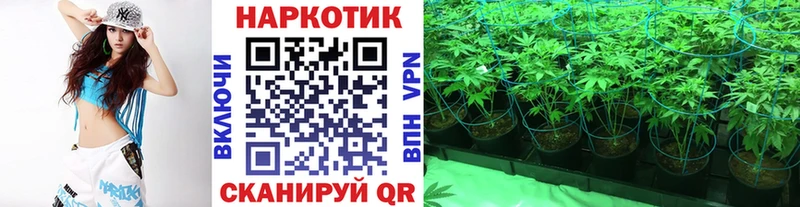 Виды наркотиков купить Зея Alpha-PVP  Бошки Шишки  Cocaine  МЕФ  ГАШИШ 