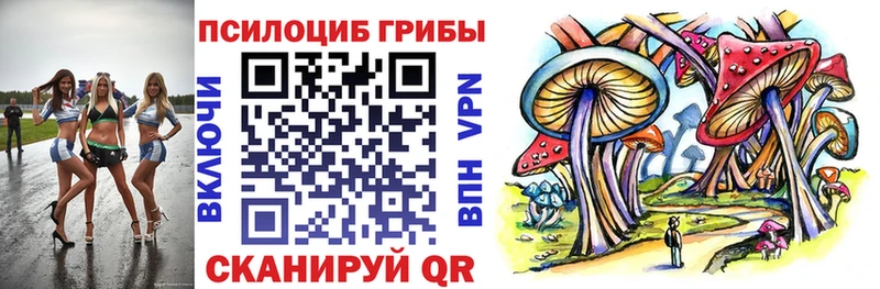 где продают наркотики  Зея  Псилоцибиновые грибы Psilocybe 